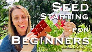 Step by Step: Seed Starting for Beginners