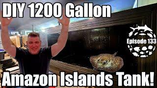 1200 Gallon DIY Aquarium Build & Stocking the Amazon Discus Tank!