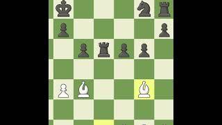 Rookmate in Chess