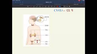 [중3] [4단원 - 자극과 반응] (9) 내분비샘과 호르몬