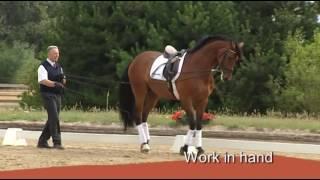 Training the Dressage Horse 1, Preparing for Advanced Class with  Ingrid Klimke