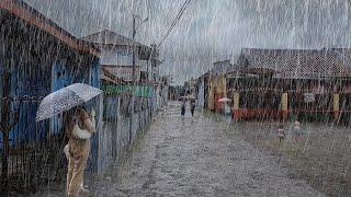 heavy rain every day in my village, very quiet and cold, fall asleep to the sound of heavy rain