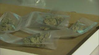 Bell County files lawsuit against City of Killeen, orders a stop to the marijuana ordinance