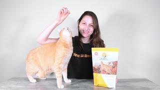 Dr. Marty Nature's Feast Cat Food Review (We Tried It)