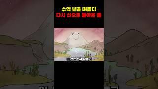 수억 년을 떠돌다 다시 산으로 돌아온 돌의 이야기