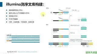 单细胞转录组数据分析实操-003.02.10X单细胞测序原理