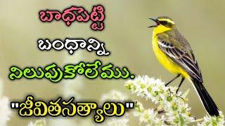 జీవిత సత్యాలు #164 |మంచి మాటలు|Inspirational quotes|Motivational quotes|సూక్తులు|Telugu quotes