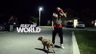 War Really - NHB WORLD