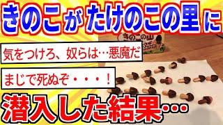 【2ch面白いスレ】キノコ派がたけのこの里に潜入した結果…【ゆっくり解説】