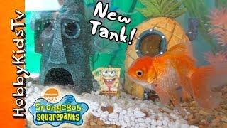 HobbyFish + SpongeBob in NEW TANK! Bikini Bottom Fish Tank by HobbyKidsTV