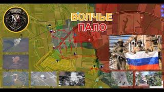 ВС РФ Продвигаются К Желанному️ Бой В Центральном Часов Яре Военные Сводки И Анализ За 29.07.2024