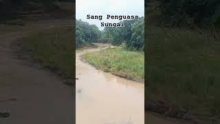 Sang Penguasa Sungai #keramat #mancing #leluhur #mistis #gaib #misteri #leluhurjawa #mitos