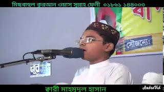 Qari Mahmudul Hasan: reciting in a confrence of Misbahul Quran Feni