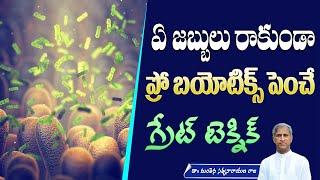 Probiotics for Gut Health | Immune System | Friendly Bacteria | Curd | Manthena Satyanarayana Raju