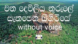 Wana Dewliya Thurule Karaoke (Without Voice) වන දෙව්ළිය තුරුලේ