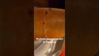 Michelin Star restaurant and beautiful fly enjoying the dish #travel #hamburg #life #youtube