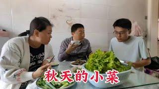 秋天的茄子豆角味道特别香一样整点，没有广权爱吃的