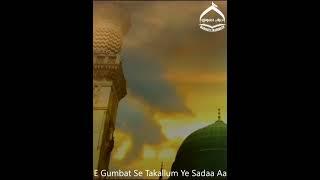 HAYE RASOOLALLAH A.S #rebuildjannatulbaqi WHATSAPP STATUS SUBSCRIBE FOR MORE #shorts