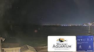 Waikiki Aquarium South Shore Surf Cam