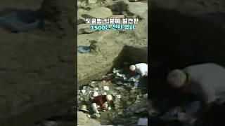 임당동 고분군, 발굴 기간만 16년