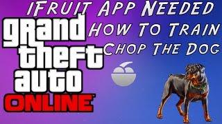 GTA 5 How To Train Chop (The Dog)