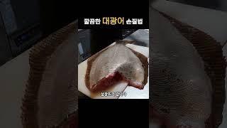 30초 광어 손질법