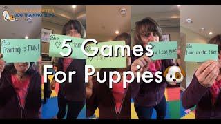 Susan Garrett's 5 Games for Puppies