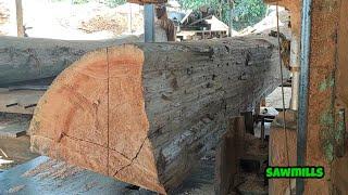 cara operator menggergaji kayu Meranti #woodfactory