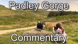 Behind the Scenes and Commentary to our Journey to Padley Gorge