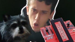 I GOT A NEW PEDAL | DigiTech Whammy DT Unboxing/Test Run