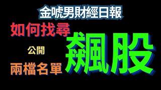 金唬男財經日報-公開兩檔飆股，50%獲利目標