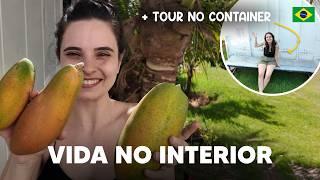 Como é morar no interior do Brasil? | Vlog de um dia comigo