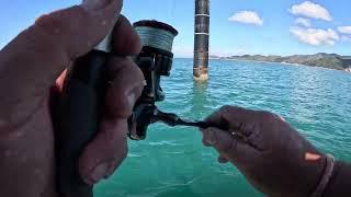 Townsville in calm weather. Easy to get a feed of fish.