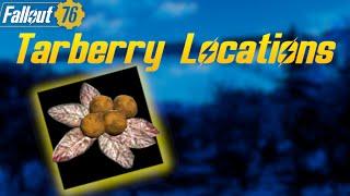 Fallout 76 - Tarberry Locations