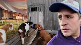 Building a Maximum Security Prison for Goats