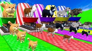 5 Giant Duck Cow, Bear, Zebra, Dog, Wofl Transfiguration funny animal 2024