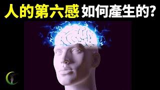 人們神秘的第六感如何產生的?它真的能預知未來嗎?| 天天觀世界(探秘,心靈感應,未解之謎,物理學,科普,超心理學,超能力,荷西西瓦,透視)