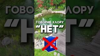 Хлор — убийца пруда!