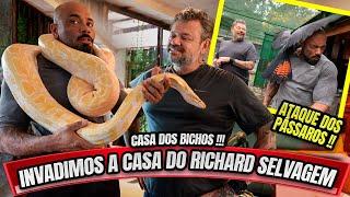 BALESTRIN PEGOU NA COBRA DO RICHARD RASMUSSEN - INVADIMOS A CASA DOS BICHOS