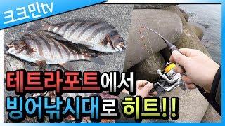 방파제 구멍치기 낚시(제주도)