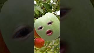 apple ️