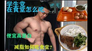 【食堂指南】学生党在食堂也能吃出好身材？怎样吃既能省钱又能高蛋白？#Gandy17