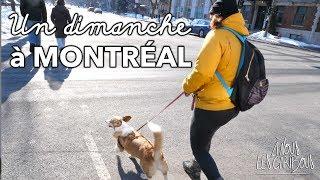 MONTRÉAL avec un CHIEN : un dimanche au Parc Lafontaine 