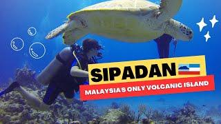 🩵 ️ Sipadan Mabul Kapalai Diving Sabah Malaysia : BEST dives of my life with Scuba Junkie