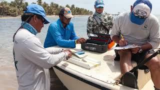 Bahamas Bonefish Spawning Research