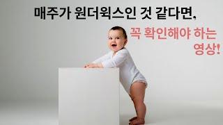 [원더윅스 4편] 11~14개월 아기의 정신적 도약기 Wonder Week 11-14 months | Baby's Mental Development Leap