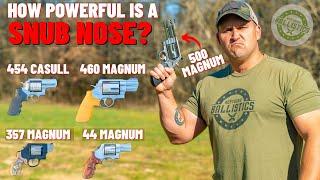 How POWERFUL Is A Snub Nose Revolver ACTUALLY?(500 S&W,460 S&W,454 Casull & More !!!)