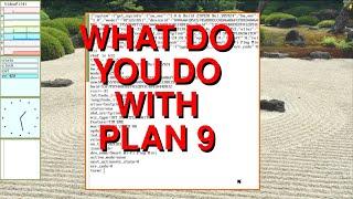 What do I use Plan 9 for?