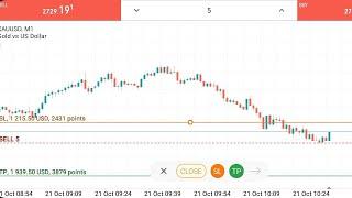 1215 USD Sl Hit In Gold Trading On Metatrader 5