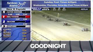 Flamboro Downs Live Stream 12/11/2024